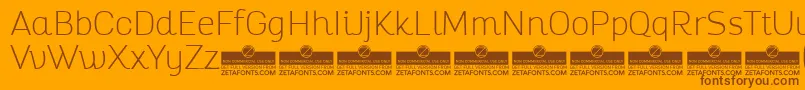 AltairThinTrial Font – Brown Fonts on Orange Background