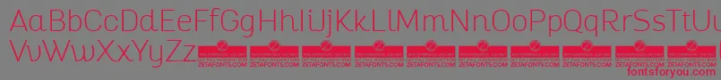 AltairThinTrial Font – Red Fonts on Gray Background