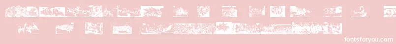 Instantgraffitication Font – White Fonts on Pink Background