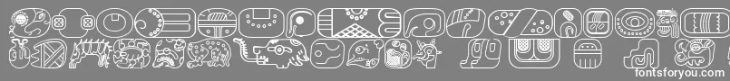 フォントMayanglyphsoutlineRegular – 灰色の背景に白い文字