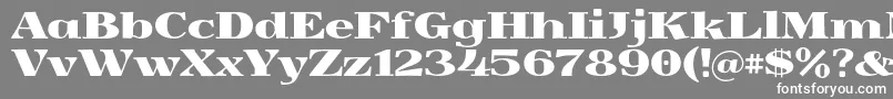 フォントYokawerad – 灰色の背景に白い文字