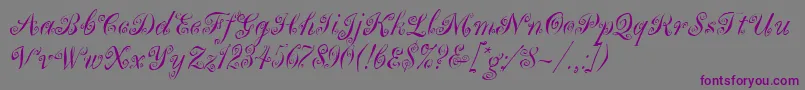 MargueritaLetPlain.1.0 Font – Purple Fonts on Gray Background