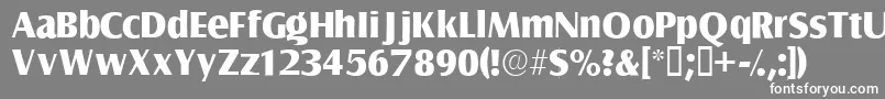 フォントNautossk – 灰色の背景に白い文字