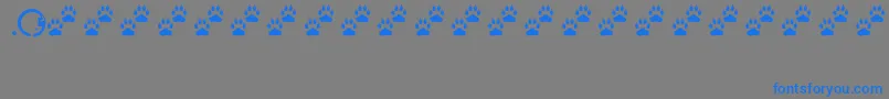 Tracks Font – Blue Fonts on Gray Background