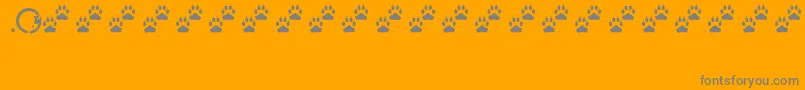 Tracks Font – Gray Fonts on Orange Background