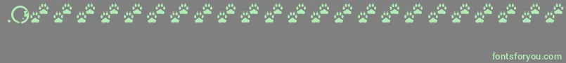 Tracks Font – Green Fonts on Gray Background