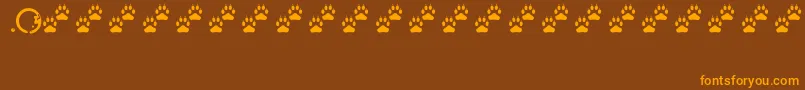 Tracks Font – Orange Fonts on Brown Background