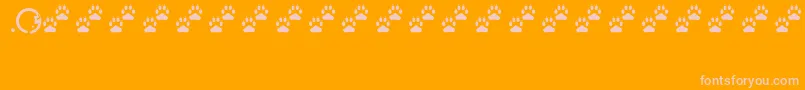 Tracks-Schriftart – Rosa Schriften auf orangefarbenem Hintergrund