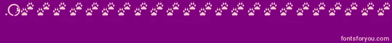 Tracks Font – Pink Fonts on Purple Background