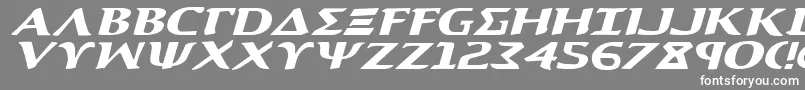 AegisExpandedItalic Font – White Fonts on Gray Background