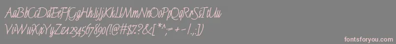 FinelineMacro Font – Pink Fonts on Gray Background