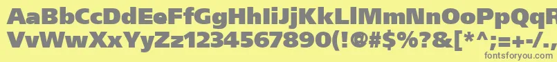 FrutigerCe95UltraBlack Font – Gray Fonts on Yellow Background