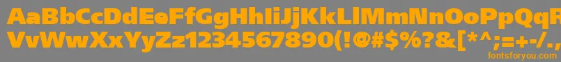 FrutigerCe95UltraBlack Font – Orange Fonts on Gray Background