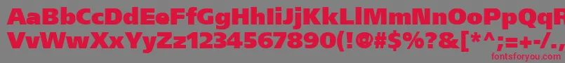 FrutigerCe95UltraBlack Font – Red Fonts on Gray Background