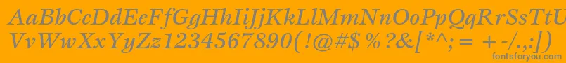 EspritstdMediumitalic Font – Gray Fonts on Orange Background