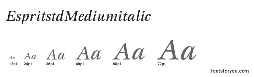 Размеры шрифта EspritstdMediumitalic