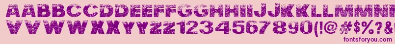 NuclearAccident Font – Purple Fonts on Pink Background