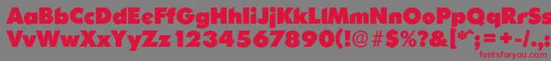 OrnitonsserialHeavyRegular Font – Red Fonts on Gray Background