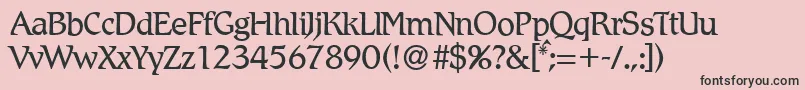 フォントR790RomanRegular – ピンクの背景に黒い文字