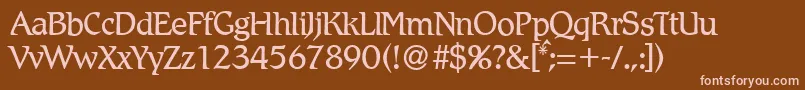 R790RomanRegular Font – Pink Fonts on Brown Background