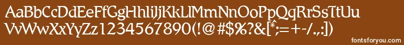 フォントR790RomanRegular – 茶色の背景に白い文字