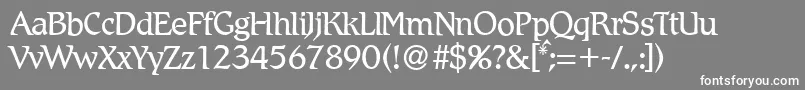 Шрифт R790RomanRegular – белые шрифты на сером фоне