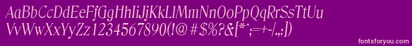 DenverserialLightItalic Font – Pink Fonts on Purple Background