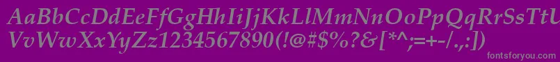 フォントPalabi0 – 紫の背景に灰色の文字