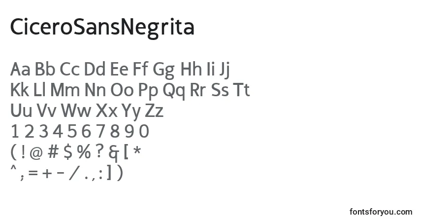 Шрифт CiceroSansNegrita – алфавит, цифры, специальные символы
