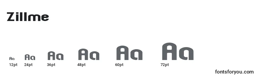 Zillme Font Sizes