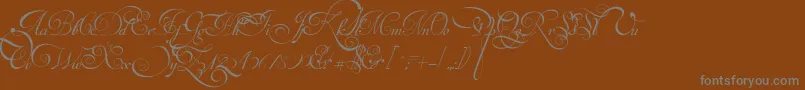 VanDenVeldeScriptPersonalUseDemo-fontti – harmaat kirjasimet ruskealla taustalla