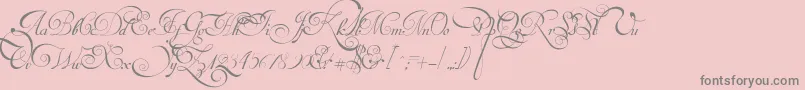VanDenVeldeScriptPersonalUseDemo Font – Gray Fonts on Pink Background
