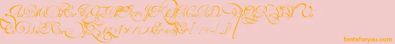 VanDenVeldeScriptPersonalUseDemo Font – Orange Fonts on Pink Background