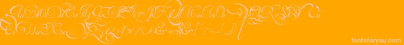 VanDenVeldeScriptPersonalUseDemo-fontti – vaaleanpunaiset fontit oranssilla taustalla