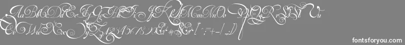 VanDenVeldeScriptPersonalUseDemo Font – White Fonts on Gray Background