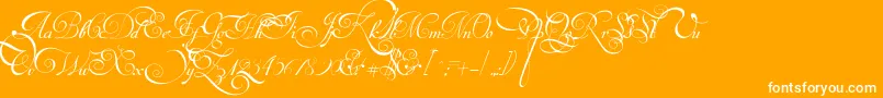 VanDenVeldeScriptPersonalUseDemo Font – White Fonts on Orange Background