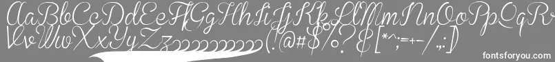 BrannbollSmal Font – White Fonts on Gray Background