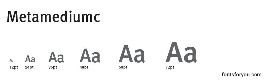 Размеры шрифта Metamediumc