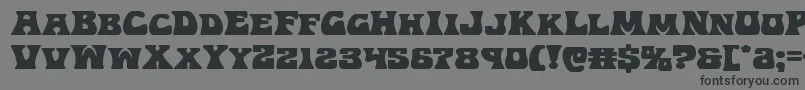 Hippocketexpand Font – Black Fonts on Gray Background