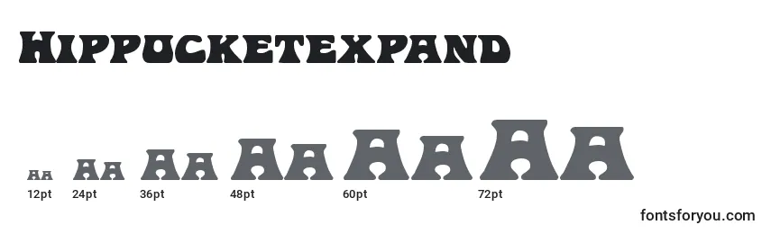 Hippocketexpand Font Sizes