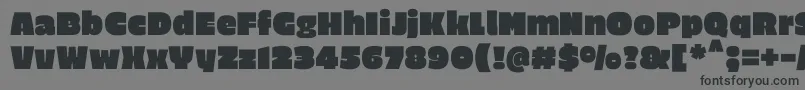 EricaoneRegular-Schriftart – Schwarze Schriften auf grauem Hintergrund