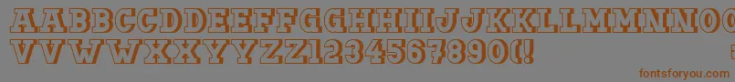 Doergonbackshift Font – Brown Fonts on Gray Background