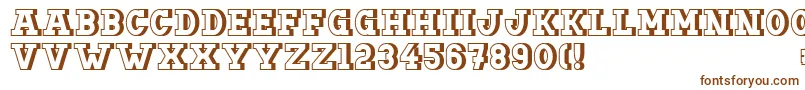 Doergonbackshift Font – Brown Fonts on White Background