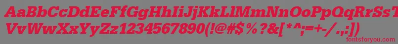 UrwegyptiennetnarBoldOblique Font – Red Fonts on Gray Background