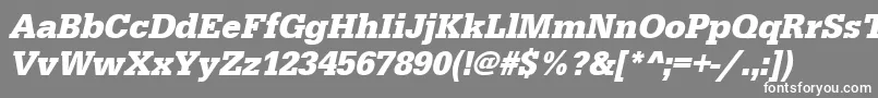 UrwegyptiennetnarBoldOblique Font – White Fonts on Gray Background