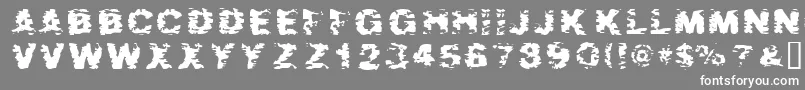 AfterShok-Schriftart – Weiße Schriften auf grauem Hintergrund