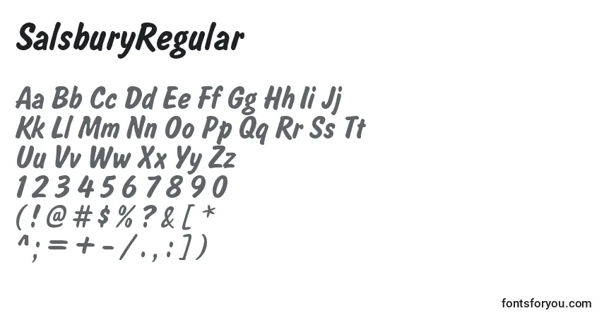 SalsburyRegular font – alphabet, numbers, special characters