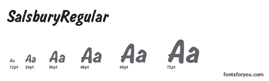 SalsburyRegular font sizes