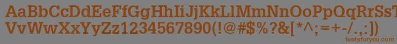 InstallationSsiBold-Schriftart – Braune Schriften auf grauem Hintergrund
