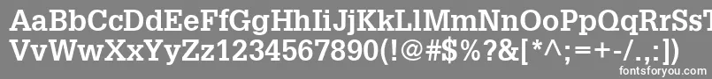 フォントInstallationSsiBold – 灰色の背景に白い文字